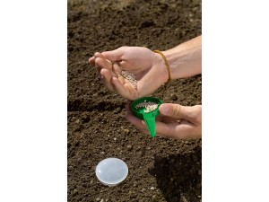 Distribuitor de seminte