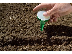 Distribuitor de seminte