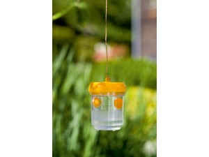 Capcana pentru viespi