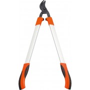 Cleste pro...