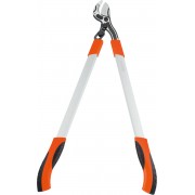 Cleste pro...
