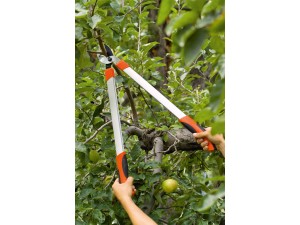 Cleste tip nicovala, pentru taiat crengi, cu lama curbata, 66 cm