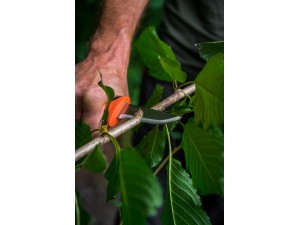 Cutit de vanatoare cu teaca L