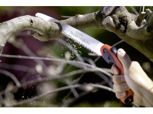 Fierastrau Maestral 250