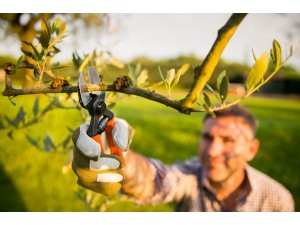 Foarfeca profesionala pentru taiere, cu doua taisuri Force, 21 cm