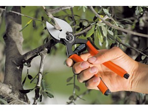 Foarfeca profesionala pentru taiere, cu doua taisuri, 21 cm