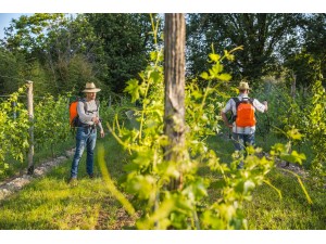 Pompa tip rucsac ELECTRO ERGO POWER FPM 12 litri, Li-ION 18 V