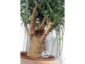 Tensiometru digital de sol Blumat Digital