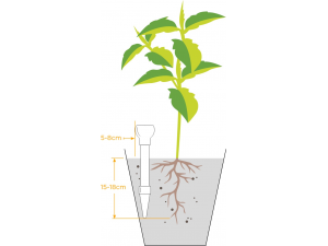 Tensiometru digital de sol Blumat Digital