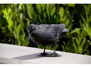 Corb din plastic - sperietoare de pasari