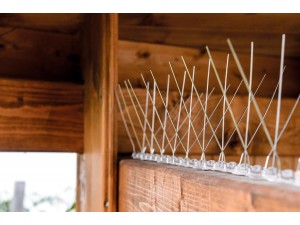 Spini contra pasari 50 cm - 30 spini