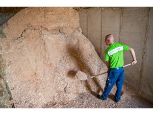 Lopata de metal pentru zapada si cereale cu coada de lemn