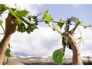 Aparat pentru legat cu banda Stocktap