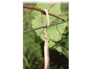 Fir Stofix, buchet 1.000 bucati de 25 cm