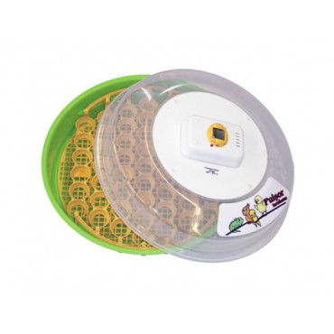 Incubator de oua Pui...