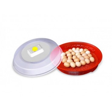 Incubator de oua Pui...