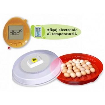 Incubator de oua Pui...