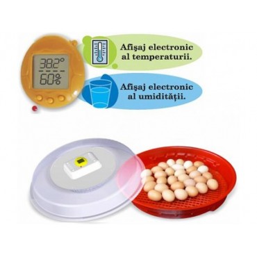 Incubator de oua Pui...