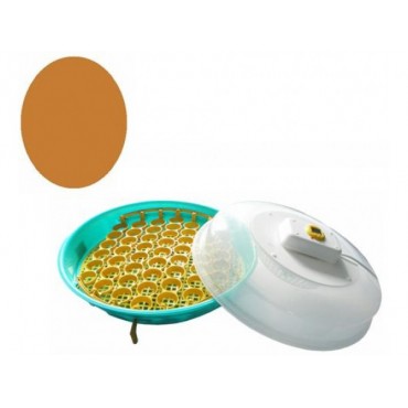 Incubator de oua Pui...